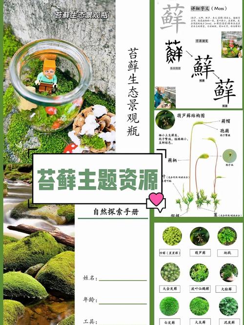 苔藓怎么繁殖？藻类和苔藓怎么繁殖？