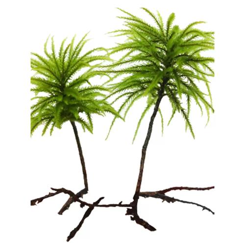 苔藓怎么繁殖？藻类和苔藓怎么繁殖？-第4张图片-优品飞百科