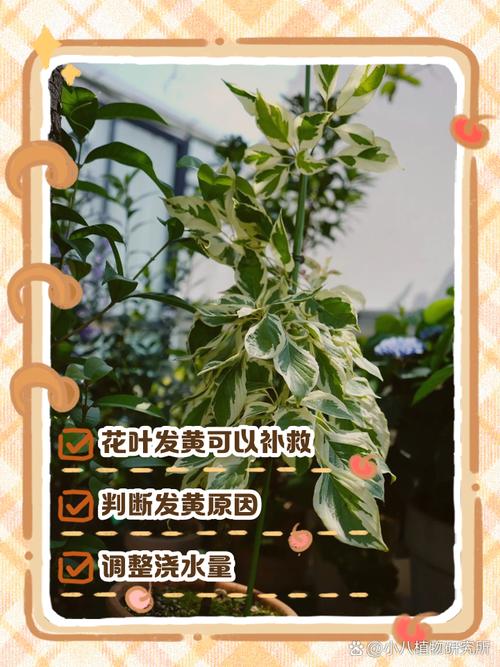 这“3种”水？这3种水果,绝对不能空腹吃!否则铁打的胃也扛不住？-第2张图片-优品飞百科