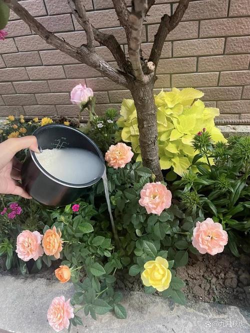 这“3种”水？这3种水果,绝对不能空腹吃!否则铁打的胃也扛不住？-第4张图片-优品飞百科