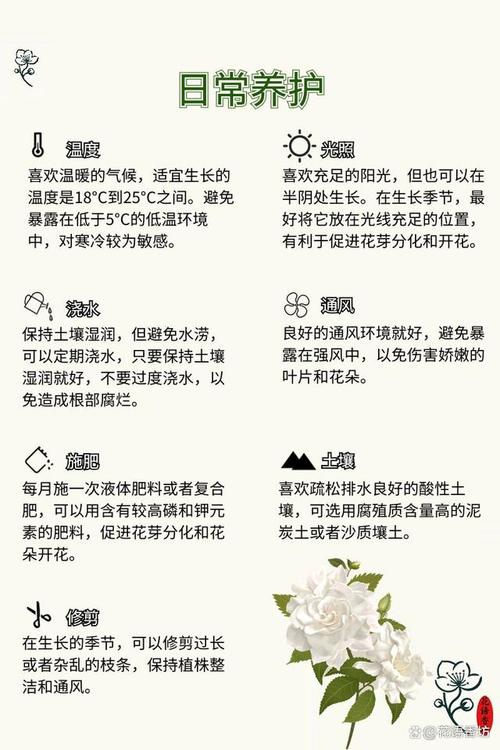 怎样让栀子花快开花？怎么让栀子花尽快开花？-第6张图片-优品飞百科