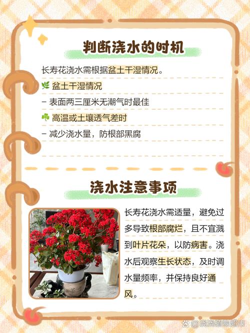 长寿花多久浇一次水，长寿花多久浇一次水合适-第6张图片-优品飞百科