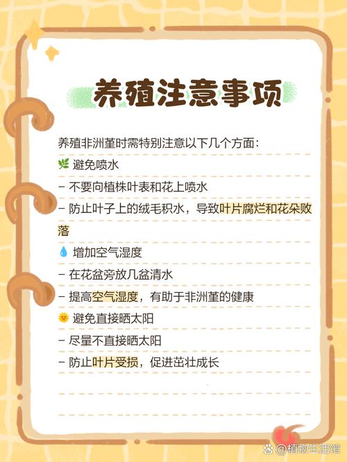 非洲堇的养殖方法和注意事项，非洲堇有哪些漂亮的品种-第5张图片-优品飞百科