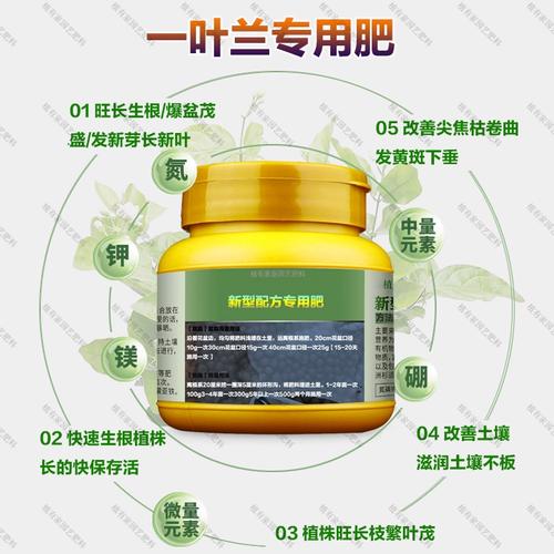 一叶兰用什么肥料,一叶兰如何施肥?-第3张图片-优品飞百科 一叶兰用什么肥料,一叶兰如何施肥?-第3张图片-优品飞百科