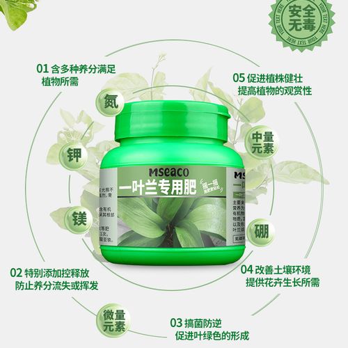 一叶兰用什么肥料,一叶兰如何施肥?-第6张图片-优品飞百科 一叶兰用什么肥料,一叶兰如何施肥?-第6张图片-优品飞百科