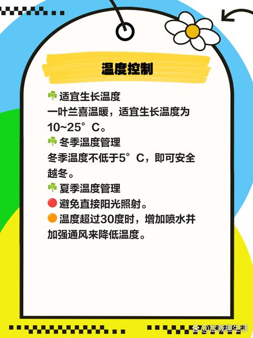 一叶兰用什么肥料,一叶兰如何施肥?-第8张图片-优品飞百科 一叶兰用什么肥料,一叶兰如何施肥?-第8张图片-优品飞百科