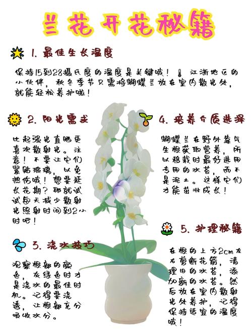 蝴蝶兰开完花就扔，蝴蝶兰开完花会死吗