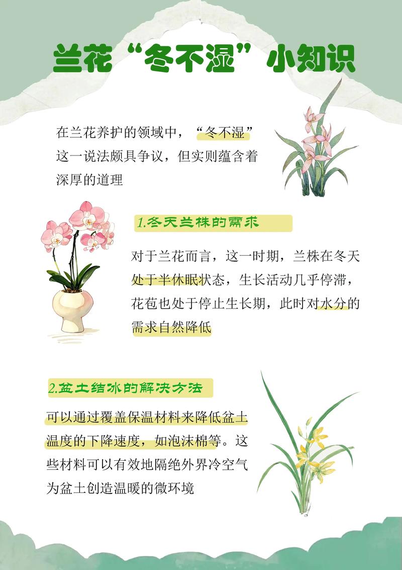 兰花不服盆的表现及处理方法，兰花不服盆的表现及处理方法视频-第2张图片-优品飞百科