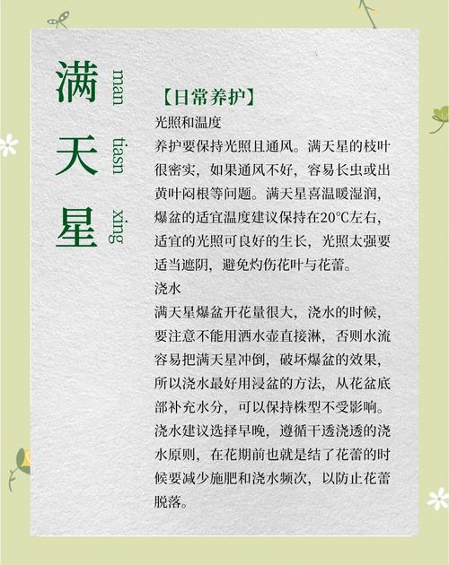 垂吊满天星的种植方法，垂吊花草？-第2张图片-优品飞百科