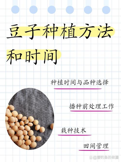 如何种植大豆?大豆怎么种植才能高产视频?-第4张图片-优品飞百科 如何种植大豆?大豆怎么种植才能高产视频?-第4张图片-优品飞百科