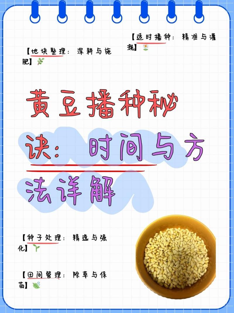 如何种植大豆?大豆怎么种植才能高产视频?-第5张图片-优品飞百科 如何种植大豆?大豆怎么种植才能高产视频?-第5张图片-优品飞百科