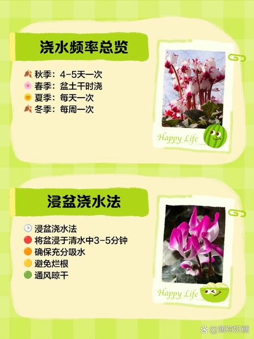 仙客来怎样施肥？仙客来 施肥？-第2张图片-优品飞百科