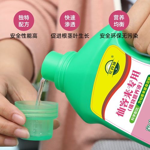 仙客来怎样施肥？仙客来 施肥？-第3张图片-优品飞百科