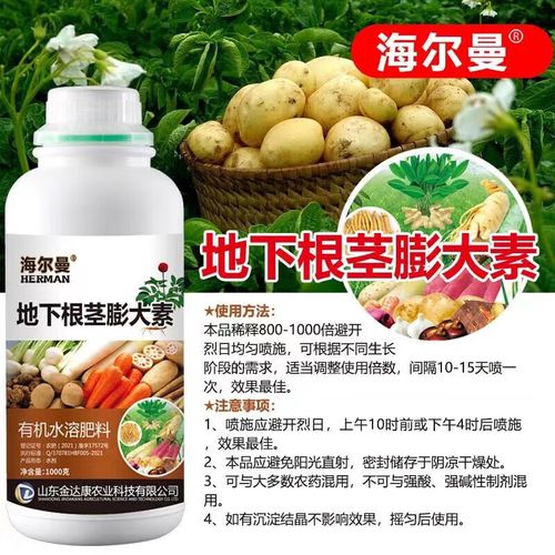 种植山药要使用什么肥,山药拿什么种-第4张图片-优品飞百科 种植山药要使用什么肥,山药拿什么种-第4张图片-优品飞百科