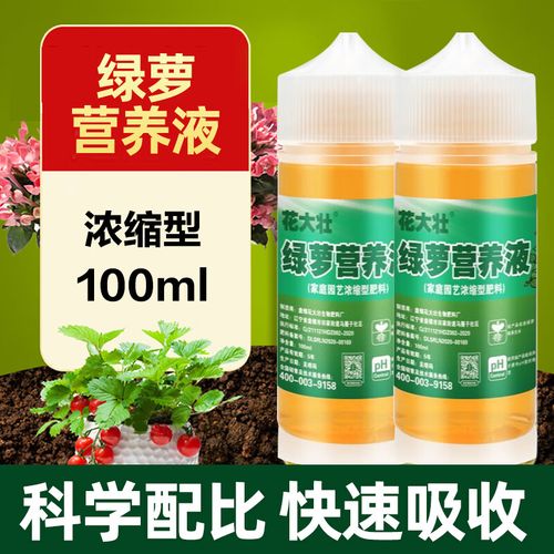 水培绿萝营养液怎么浇？水培绿箩营养液？