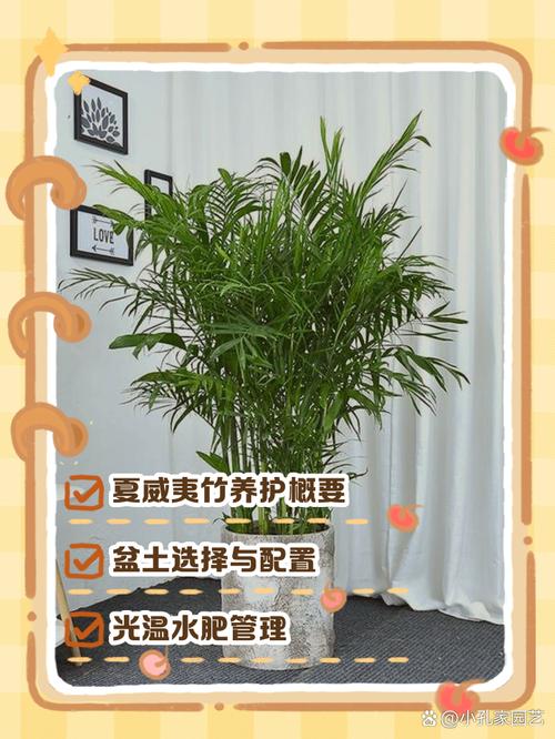 夏威夷竹能开花吗，夏威夷竹能开花吗怎么养-第3张图片-优品飞百科