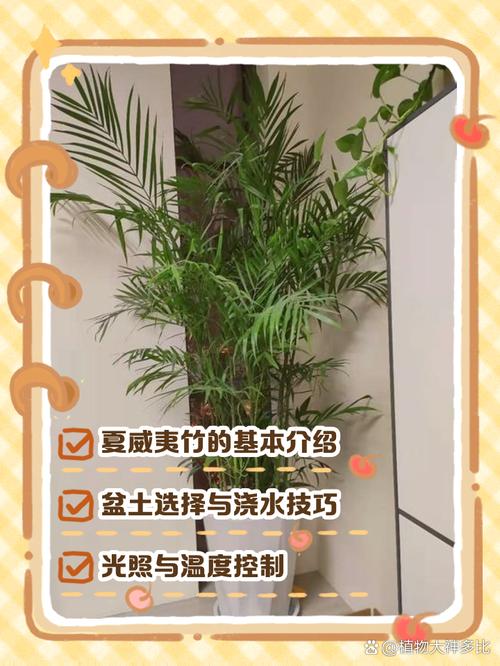 夏威夷竹能开花吗，夏威夷竹能开花吗怎么养-第6张图片-优品飞百科