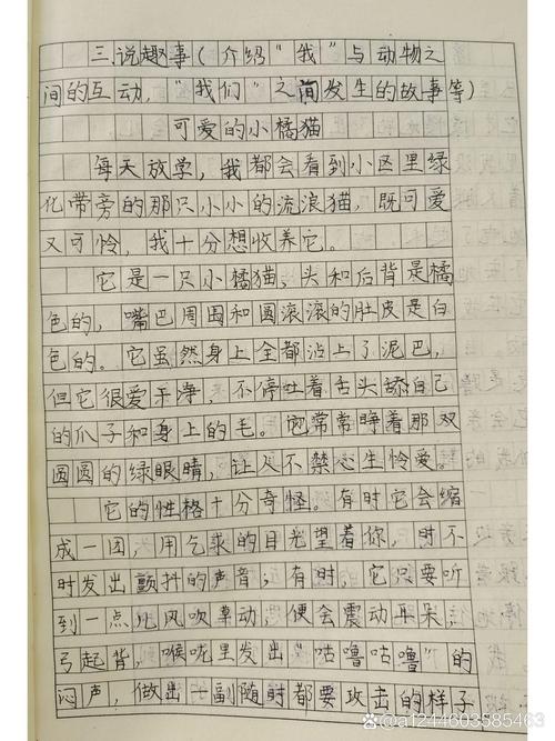 他在盆里埋了1只鸡1条鱼？他在盆里埋了1只鸡1条鱼英文？-第2张图片-优品飞百科