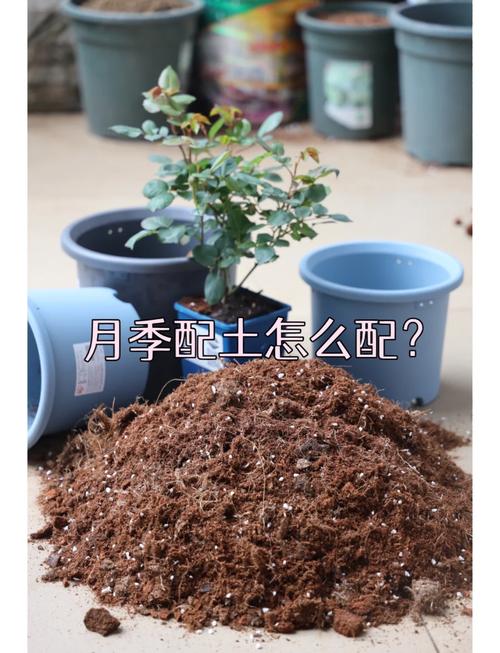 养花的土太硬了怎么办?养花的土太硬了怎么办呢?-第5张图片-优品飞百科 养花的土太硬了怎么办?养花的土太硬了怎么办呢?-第5张图片-优品飞百科