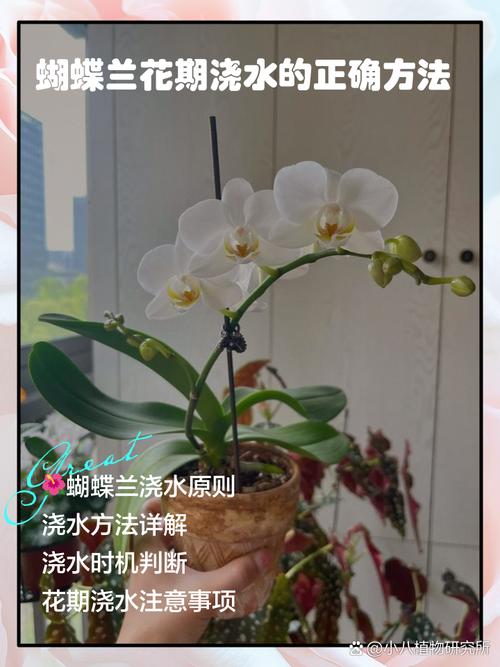 夏天植物几天浇一次水，夏天植物几天浇一次水合适？-第4张图片-优品飞百科