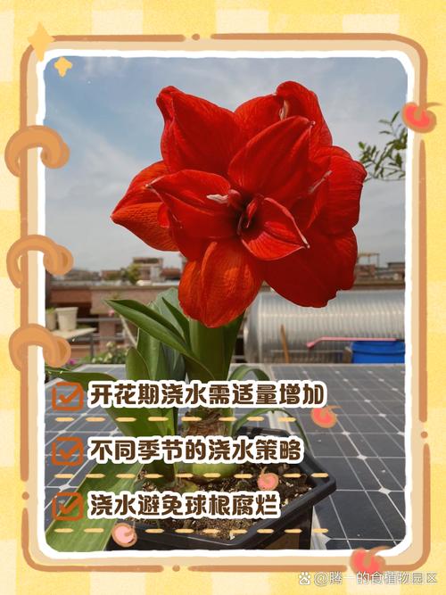 夏天植物几天浇一次水，夏天植物几天浇一次水合适？-第6张图片-优品飞百科