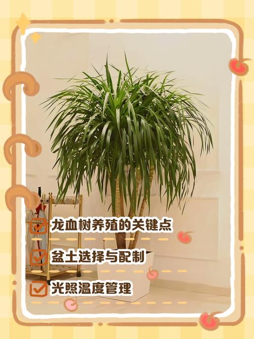 夏天植物几天浇一次水，夏天植物几天浇一次水合适？-第8张图片-优品飞百科