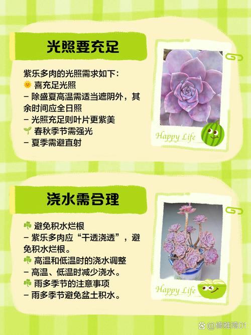 多肉怎么养才能更旺盛，招财猫多肉怎么养才能更旺盛？-第4张图片-优品飞百科