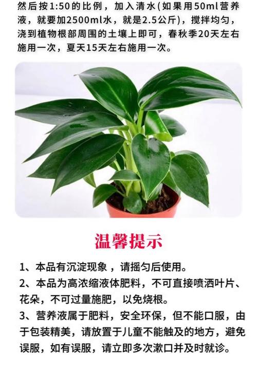 金钻施什么肥长的旺？金钻用什么肥？-第5张图片-优品飞百科