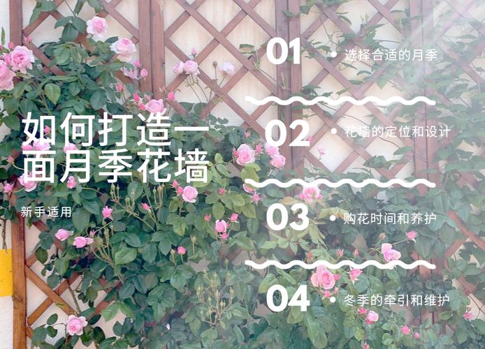 月季花墙怎么固定,月季花墙贴网怎么固定?-第3张图片-优品飞百科 月季花墙怎么固定,月季花墙贴网怎么固定?-第3张图片-优品飞百科