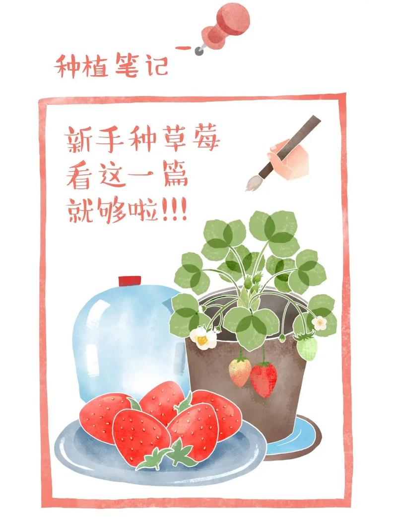 草莓种植过程，草莓种植过程中会打农药吗-第7张图片-优品飞百科