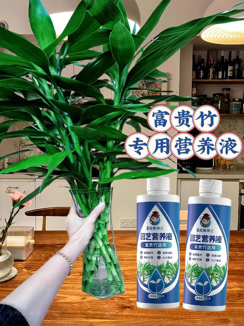 富贵竹可以用橘子皮水做营养液吗，橘子皮泡水能浇富贵竹吗-第2张图片-优品飞百科