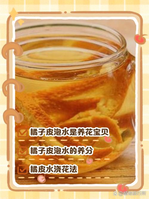 富贵竹可以用橘子皮水做营养液吗，橘子皮泡水能浇富贵竹吗-第3张图片-优品飞百科
