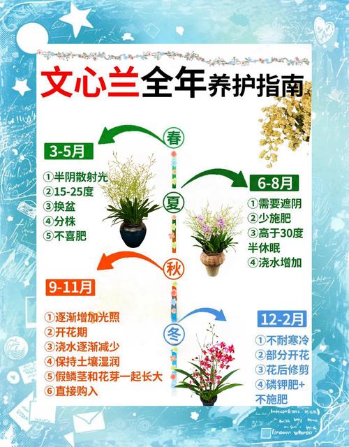 春兰怎么养才能开花，春兰怎样养才能开花-第5张图片-优品飞百科