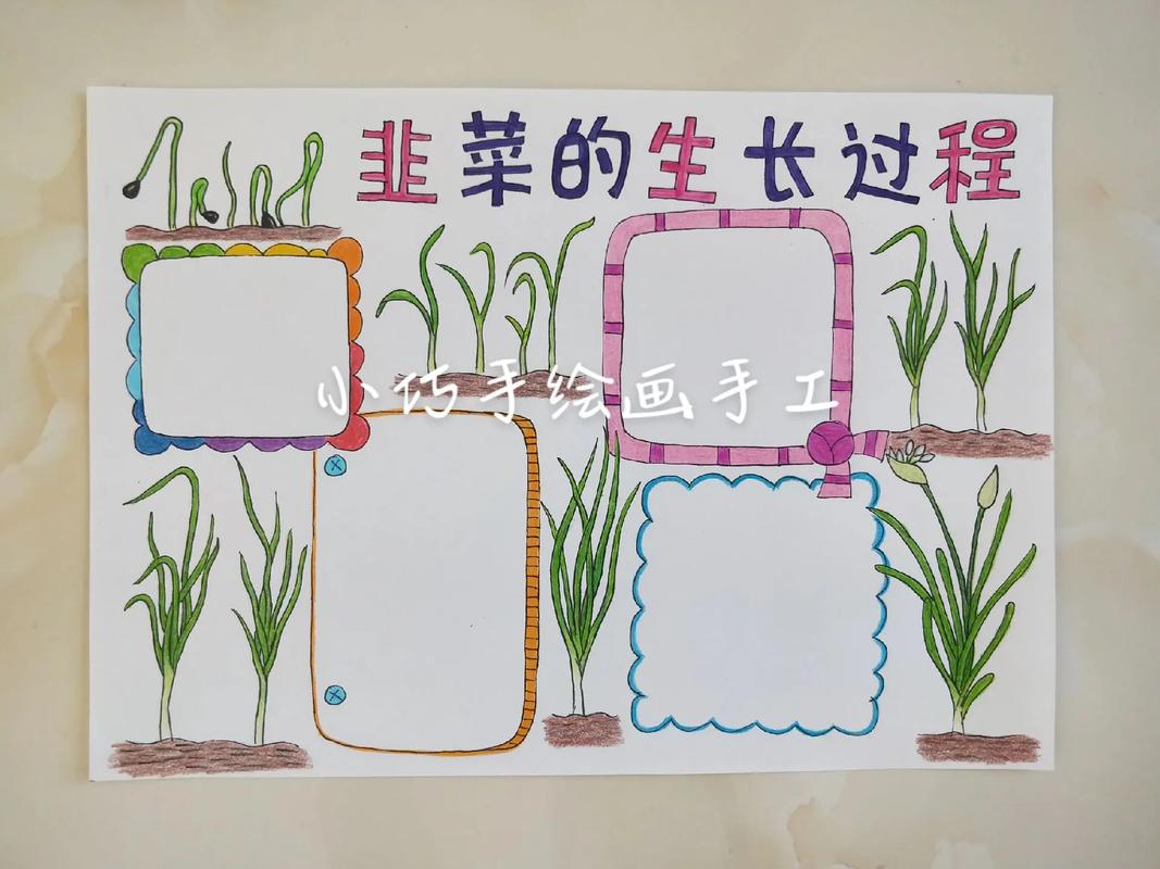 韭菜生长的适宜温度，韭菜喜阴还是喜阳？-第4张图片-优品飞百科