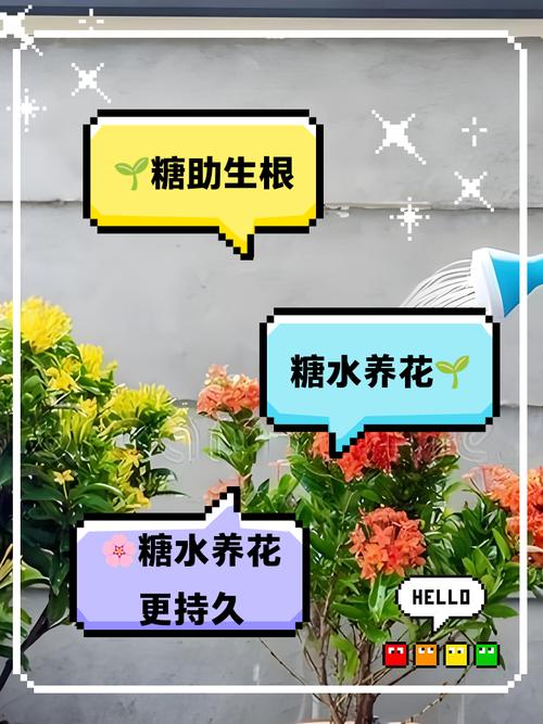 1勺白糖兑水里？白糖加多少水？-第2张图片-优品飞百科