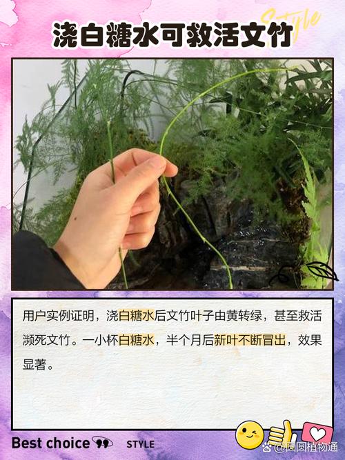1勺白糖兑水里？白糖加多少水？-第4张图片-优品飞百科