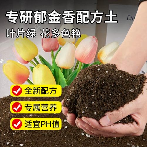 郁金香施肥用哪个肥料?郁金香如何浇水施肥?-第3张图片-优品飞百科 郁金香施肥用哪个肥料?郁金香如何浇水施肥?-第3张图片-优品飞百科