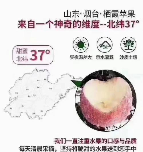 苹果的种植与管理技术要点？苹果的栽培技术有哪些？-第3张图片-优品飞百科