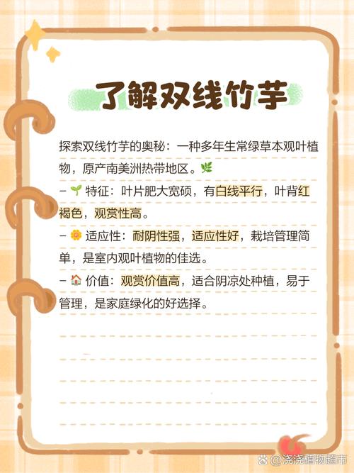 双线竹芋怎么养，双线竹芋养护？