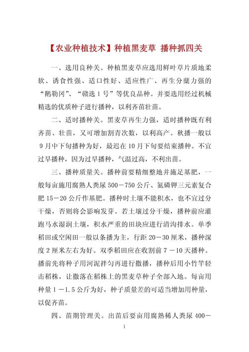 黑麦草种植方法,黑麦草种植方法视频?-第7张图片-优品飞百科 黑麦草种植方法,黑麦草种植方法视频?-第7张图片-优品飞百科