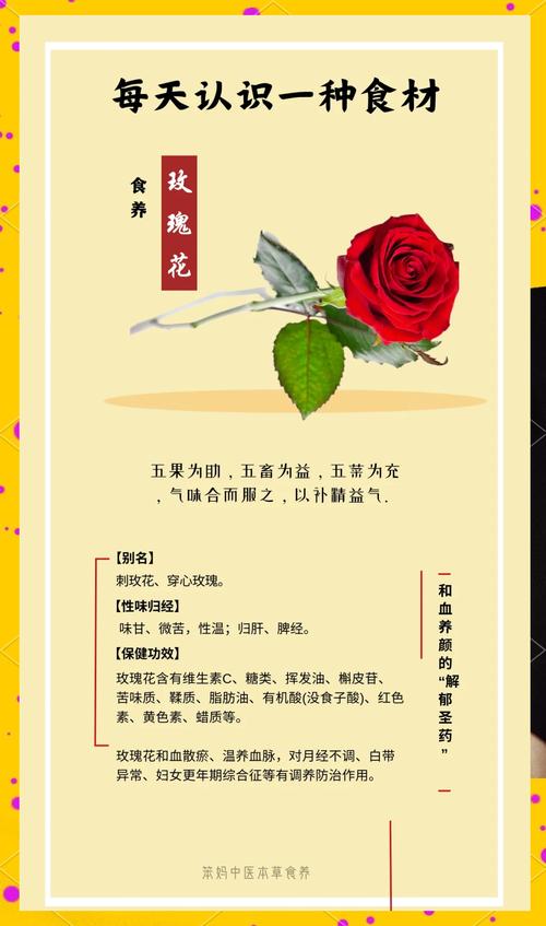 怎么让玫瑰开花，怎么让玫瑰开花快？