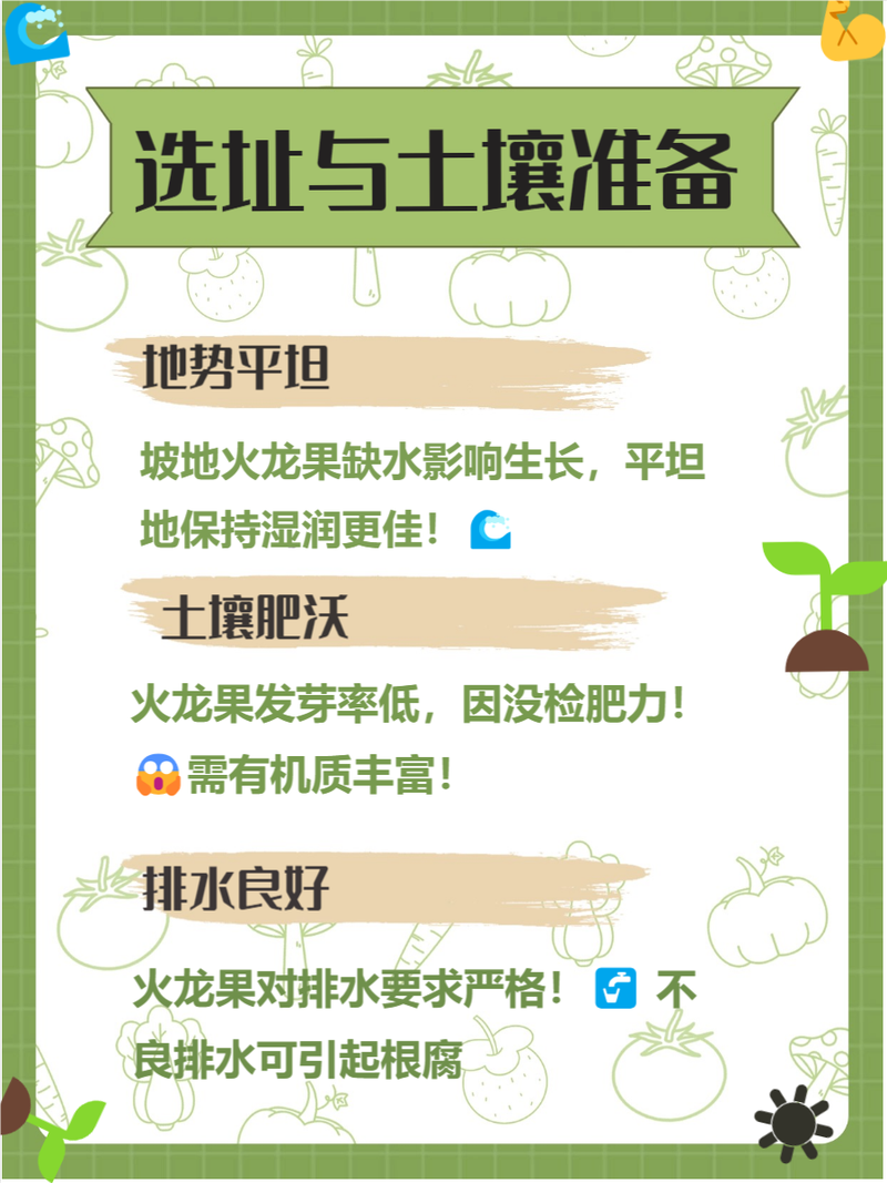 火龙果种植技术，火龙果种植技术方法？-第5张图片-优品飞百科