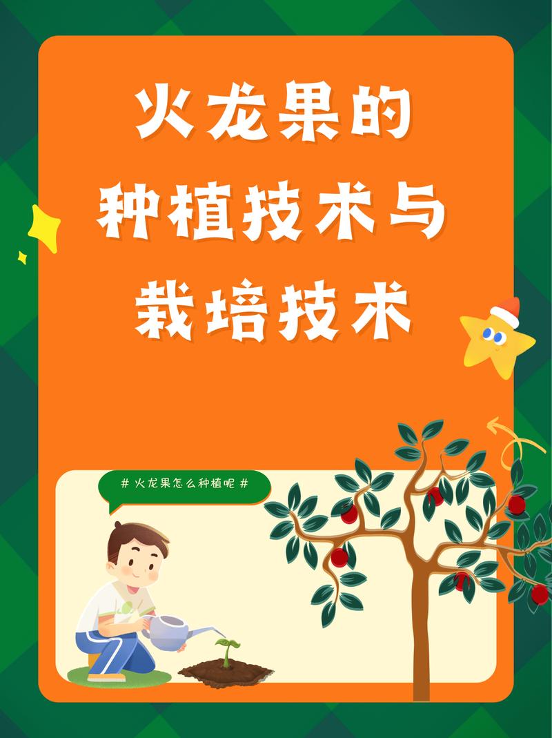 火龙果种植技术，火龙果种植技术方法？-第7张图片-优品飞百科