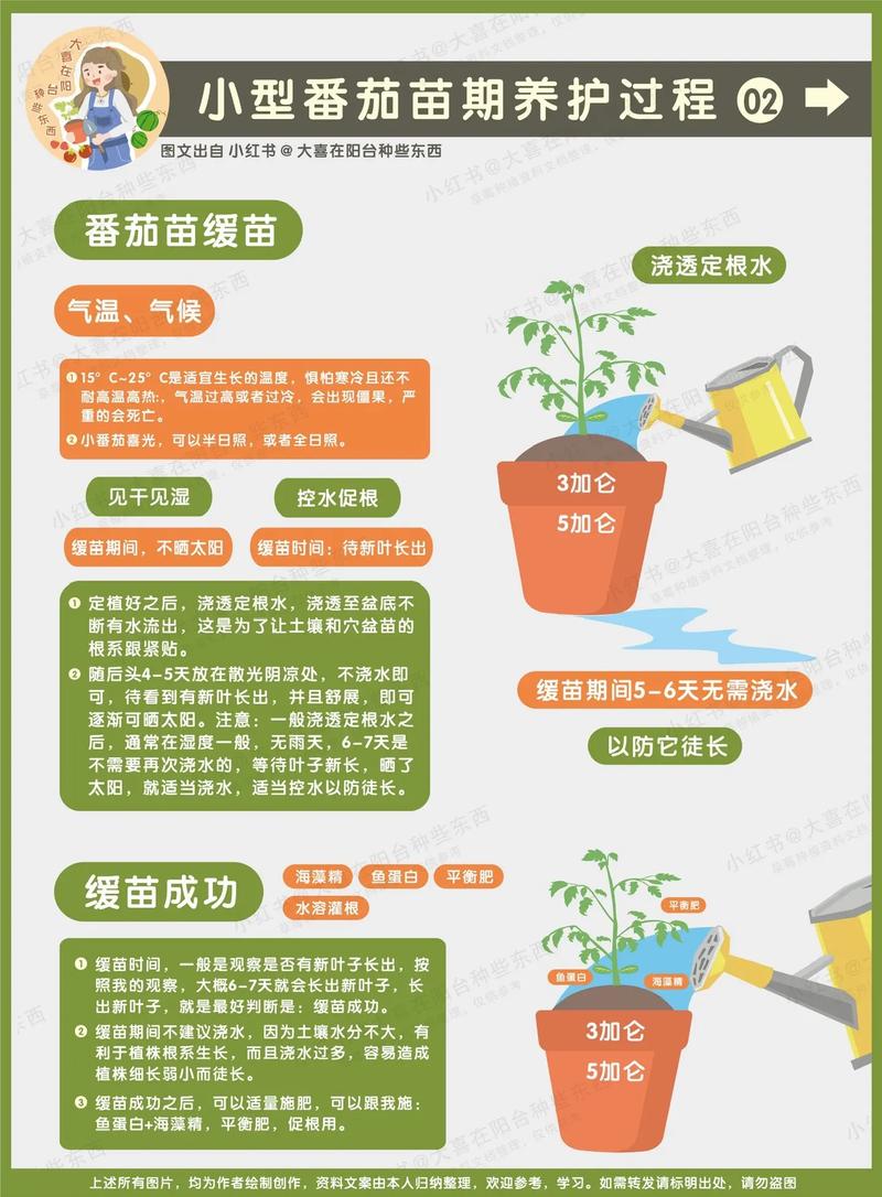 小番茄种植时间和方法，小番茄种植时间和方法温度