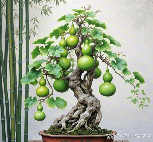 葫芦的养殖方法？七彩葫芦的养殖方法？-第4张图片-优品飞百科