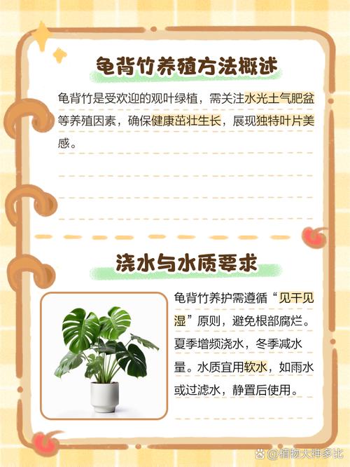 龟背竹怎么养护，龟背竹怎么养护和管理-第3张图片-优品飞百科