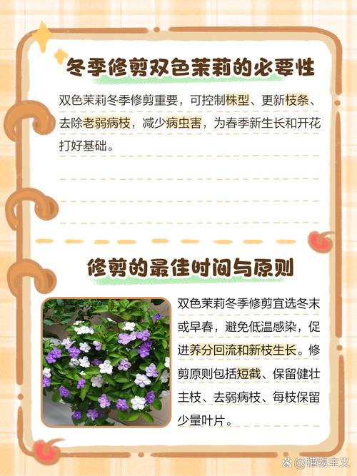 双色茉莉什么时候修剪，双色茉莉什么时候修剪合适-第3张图片-优品飞百科