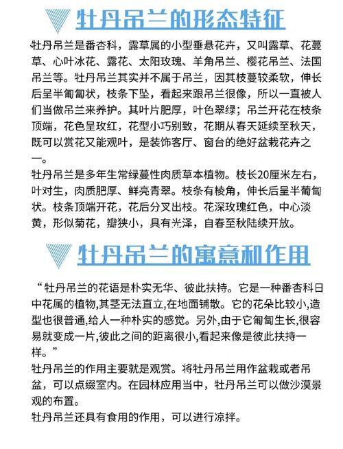 怎么使牡丹吊兰多开花？怎样使牡丹吊兰开花？-第4张图片-优品飞百科