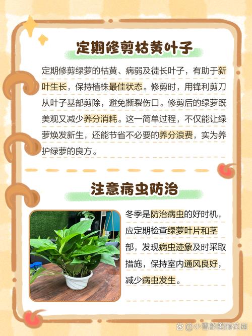 绿萝冬天应该怎么养？绿萝冬天怎么养才能安全过冬？-第7张图片-优品飞百科