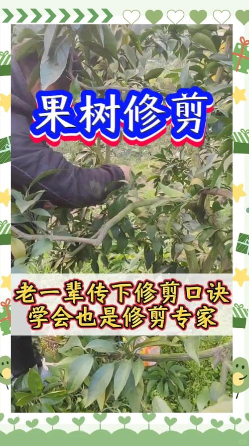 果树修剪技术？果树修剪技术图解？